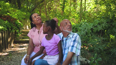 in nature, diverse grandparents with granddaughter sitting together, pointing at scenery