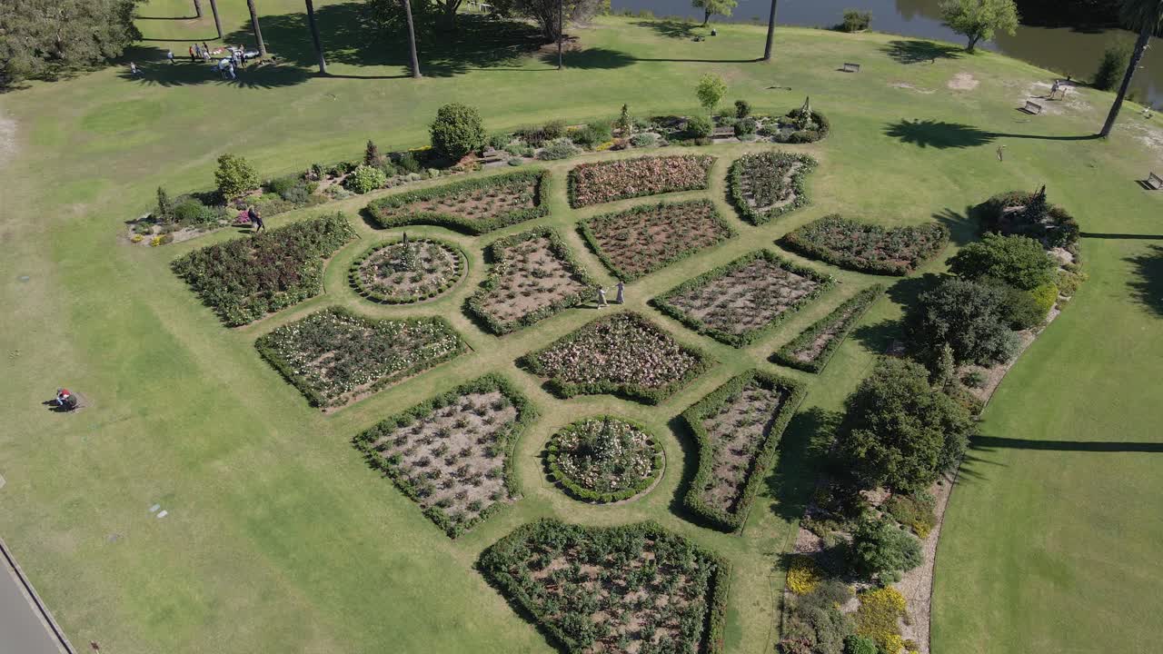dos amigos se encuentran en el jardín de rosas en un día soleado de verano en el parque centenario - atracción turística - sydney, nsw, australia