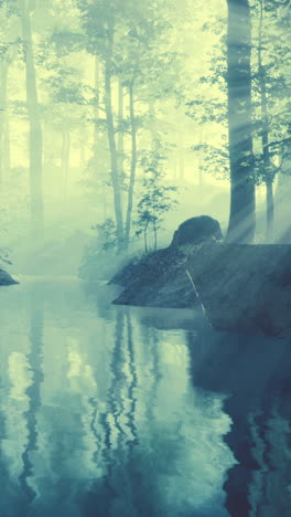 misty forest river