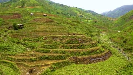 Hundreds-of-lush-green-rice-terraces-in-a-giant-valley-in-northern-Vietnam