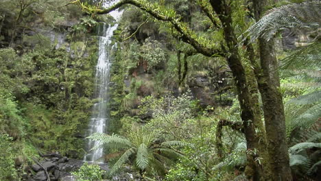 a tall waterfall spills down a lush wall in a tropical jungle