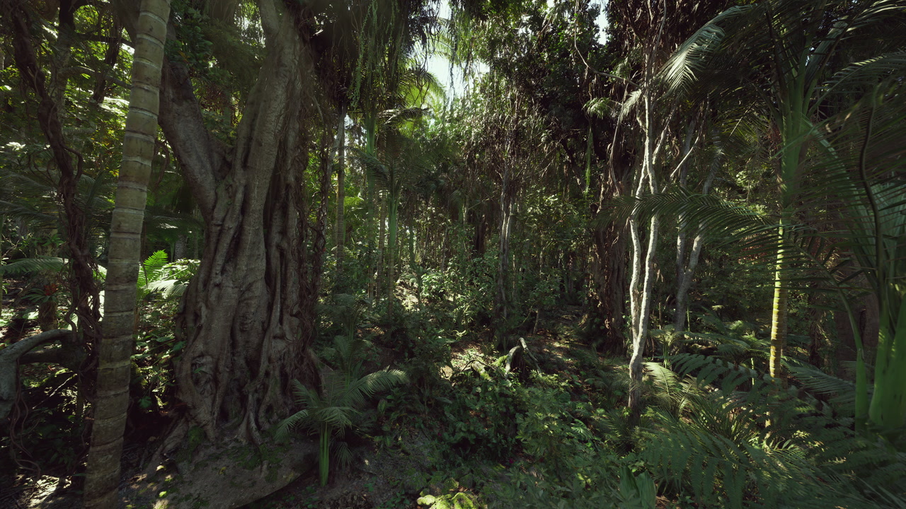 Tall trees and tangled vines create untamed wilderness ambiance
