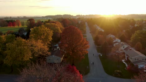 aerial drone view