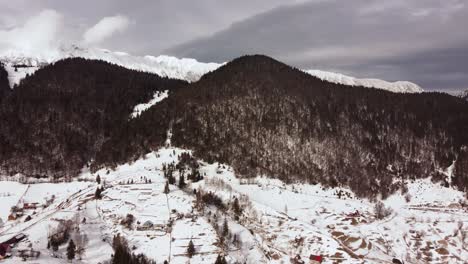 雪地覆蓋的山脈上綠色松樹上空飛翔的空中射擊