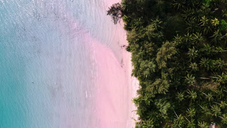 sea waves gently washing upon koh kood beach with palm tree jungle