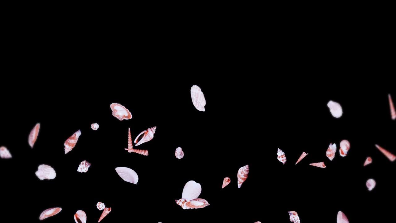 volando muchas conchas marinas en fondo negro. colección de mariscos realistas. bajo el agua tropical. animación de bucle 3d de conchas girando.