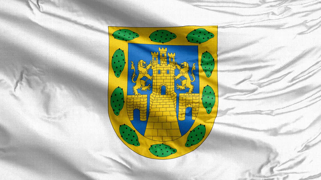 Bandiera sventolante di Città del Messico, Stemma di Città del Messico