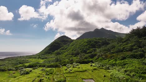 Toma-Aérea-Acercándose-Del-Hermoso-Paisaje-De-Montañas-Verdes-En-La-Isla-De-Las-Orquídeas-Durante-El-Día-Soleado---Costa-De-Agua-Del-Océano-En-El-Fondo