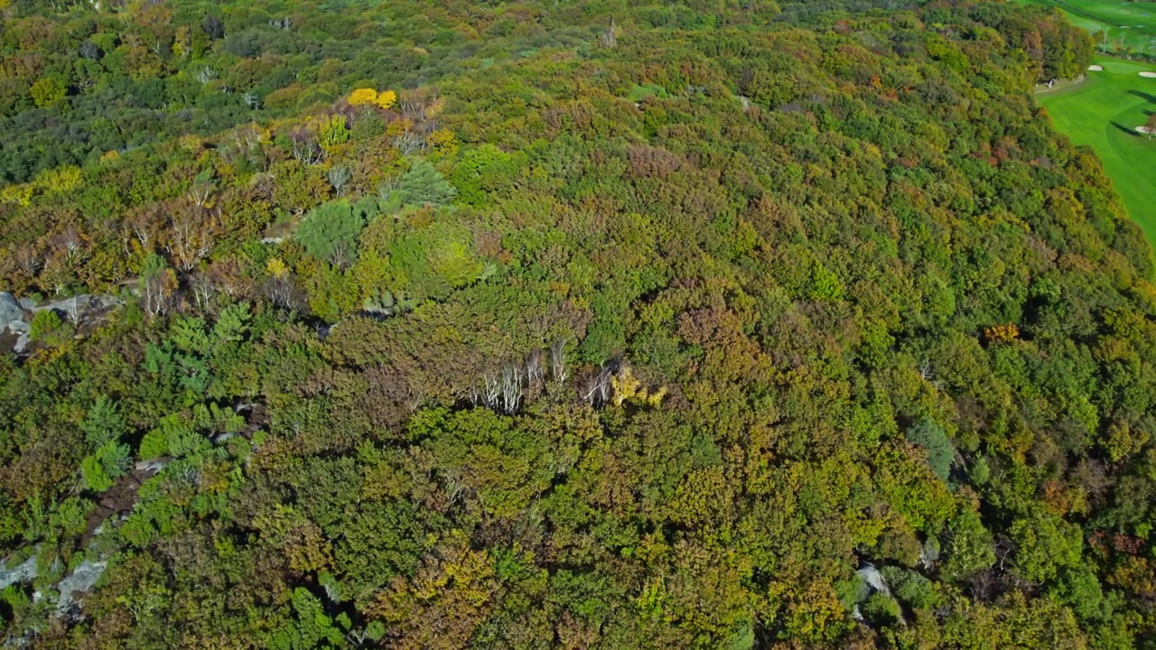 Hordalen naturreservat, Kungsbacka, Halland, Sverige. Luftfoto av den tette skogen, steinete terreng, grønne trær og naturskjønt landskap på den svenske landsbygda.