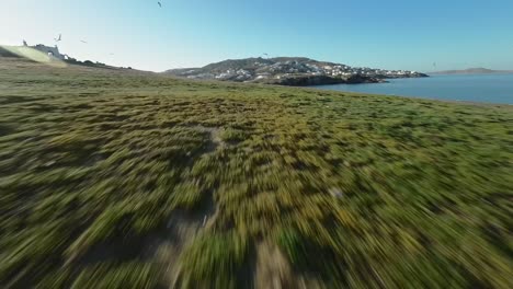 fpv drone flying low over an island with seagulls flying around