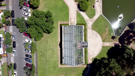 aerial - flock of birds fly over botanical gardens