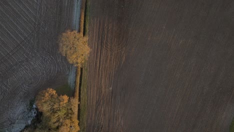 Over-eye-view-Sobrecarga-Seto-Campo-Cultivable-Copia-Espacio-Warwickshire-Uk-Antena-Agrícola-Frost-Otoño-Invierno