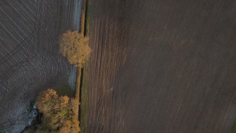 birds-eye-view overhead hedgerow arable field copy space warwickshire uk agricultural aerial frost autumn winter