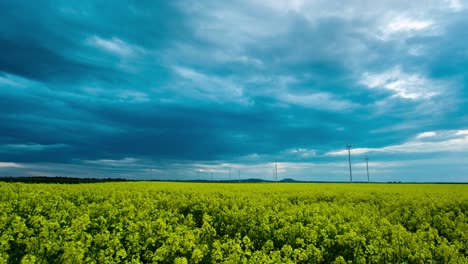 Panorama-Zeitraffer-Von-Rotierenden-Windmühlen,-In-Blühenden-Rapsfeldern,-An-Einem-Bewölkten-Abend