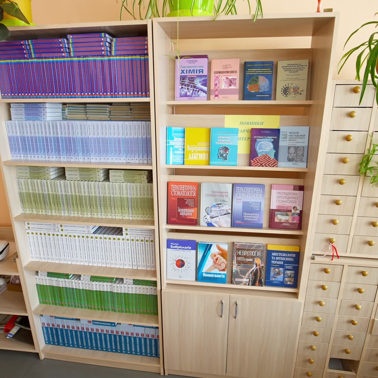 Books on bookshelf in library. Rows of different colorful books lying on the shelves