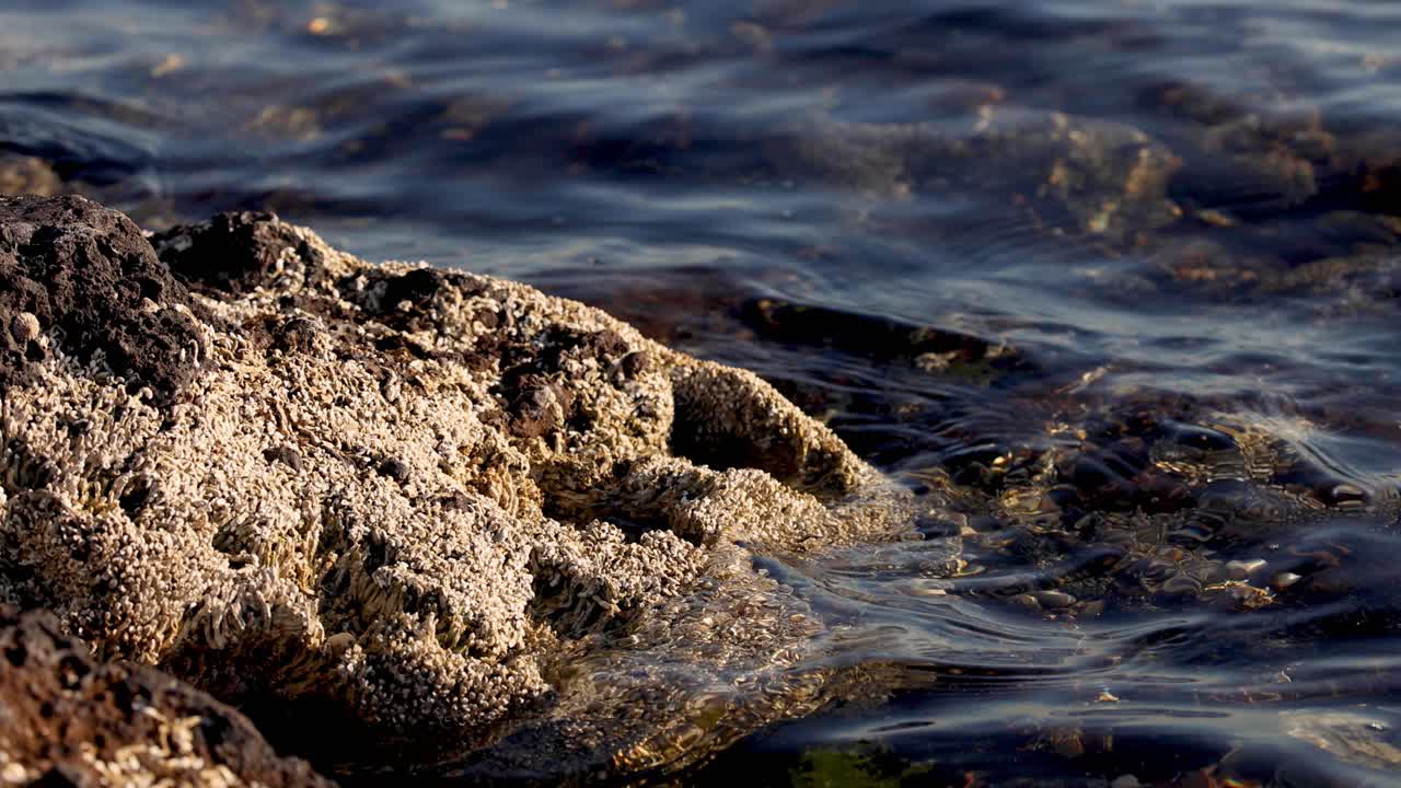 Onde si infrangono dolcemente su una costa rocciosa.