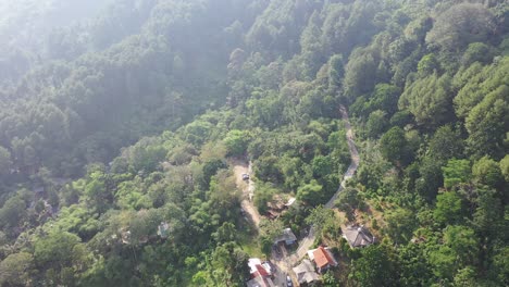 vista aérea de un exuberante bosque montañoso