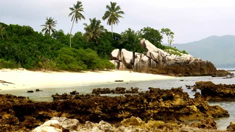 Shoreline-of-Cousin-Island,-Seychelles