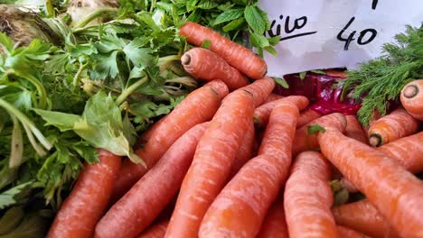 fresh carrots at a farmers market