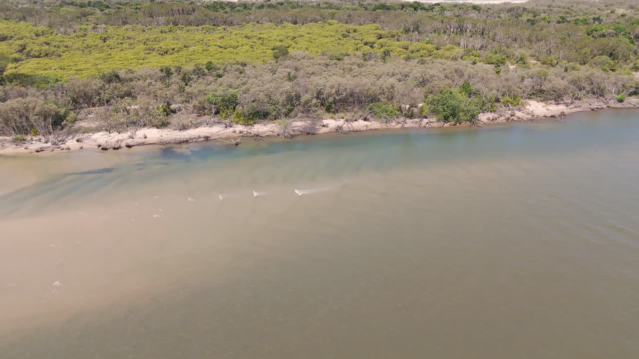 el avión no tripulado captura la costa, la erosión y los manglares