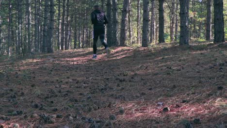 athlete jogging in the woods