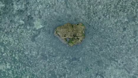 top down slow motion drone view of waves crashing over shallow coral reef and big rock in uluwatu bali indonesia