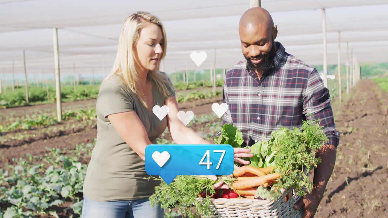 Farmers harvesting vegetables beneath netting, featuring floating heart icons and health like count