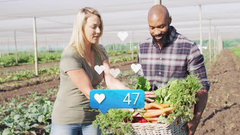 farmers harvesting vegetables beneath netting, featuring floating heart icons and health like count