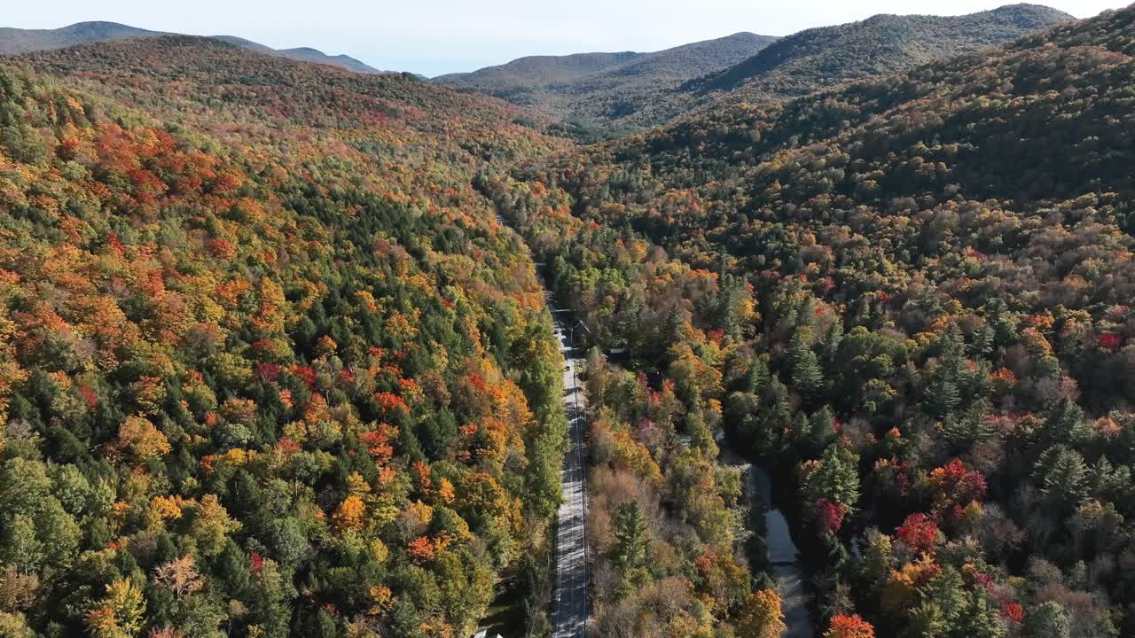 camino pavimentado en medio de coloridos árboles del bosque de otoño