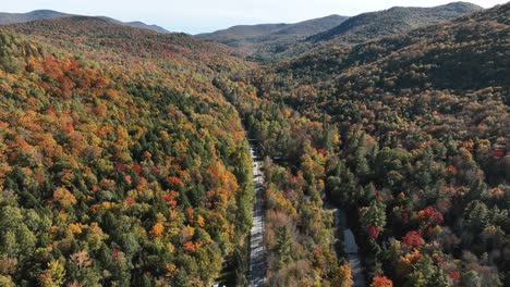 Paved-Road-In-The-Middle-Of-Colorful-Autumn-Forest-Trees