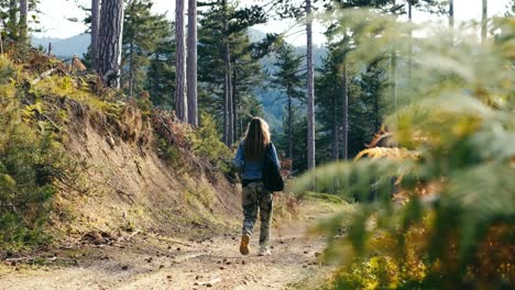 Mujer-Caminando-En-El-Bosque-En-Otoño