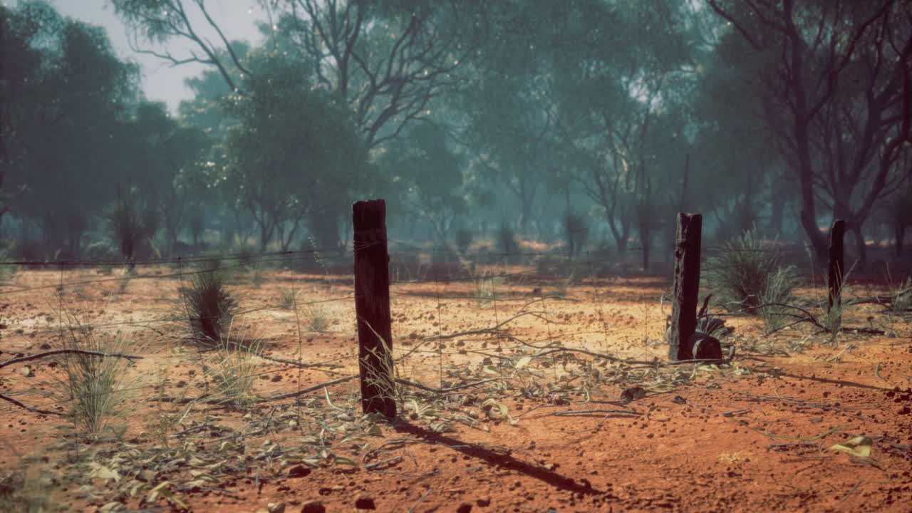 Desert landscape with weathered posts and sparse vegetation during dawn