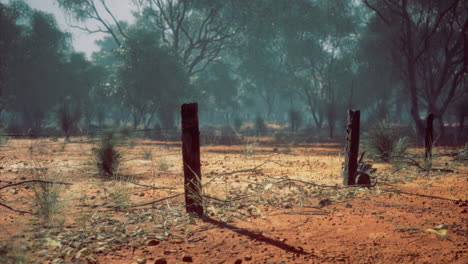 desert landscape with weathered posts and sparse vegetation during dawn