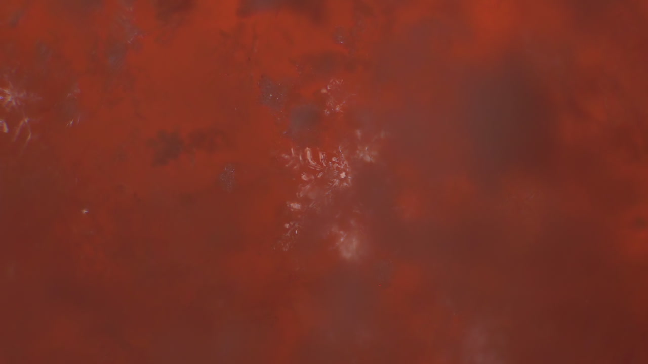 Snowflake closeup, frozen ice snow formation on multi-coloured surface, concept