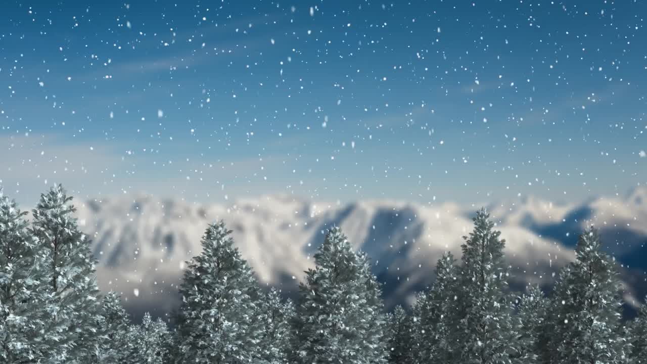 눈이 내리고 소나무들이