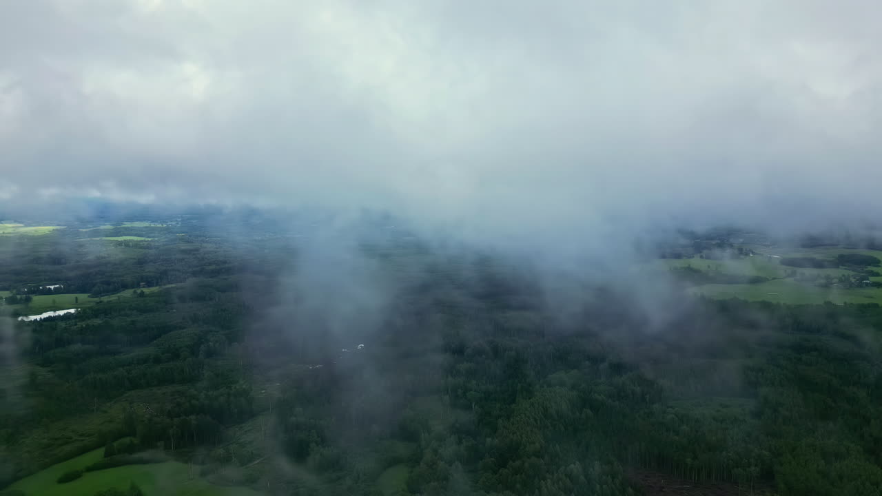 Drone&rsquo;s Eye View: Clouds Over Green Forest