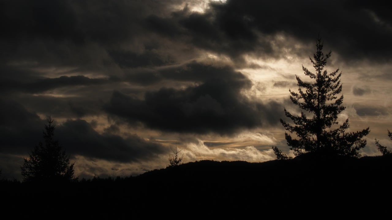 Nuvole temporalesche drammatiche che si muovono sopra la linea degli alberi all'alba