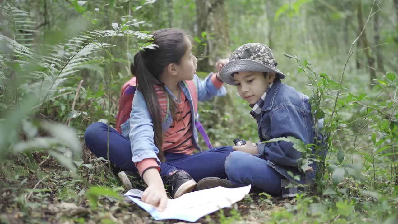 niños étnicos hablando mientras estudian plantas en el bosque