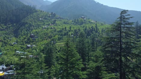 aerial view short of jibhi himachal pradesh in india. houses and trees in the mountainous area. faguli festival is one of the biggest festival in jibhi. the traditional houses here have stone roofs.