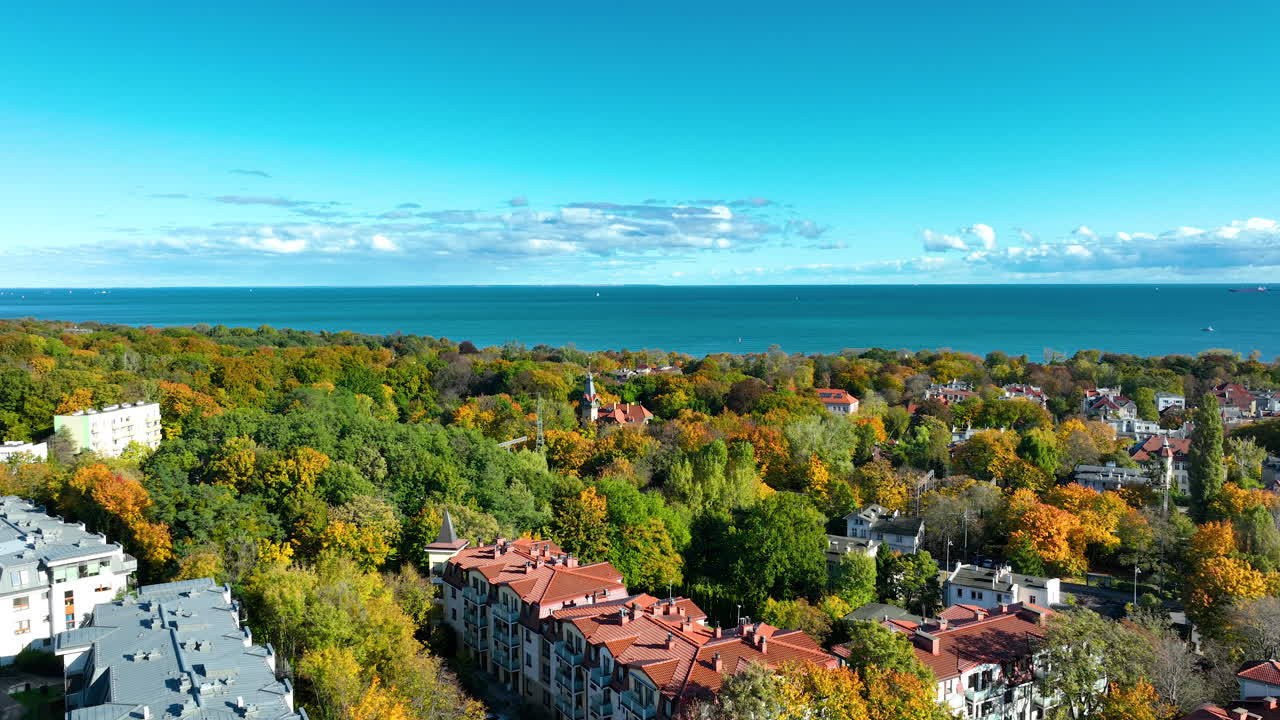 Close-up of a thick layer of bright yellow and orange maple leaves covering a paved path in autumn