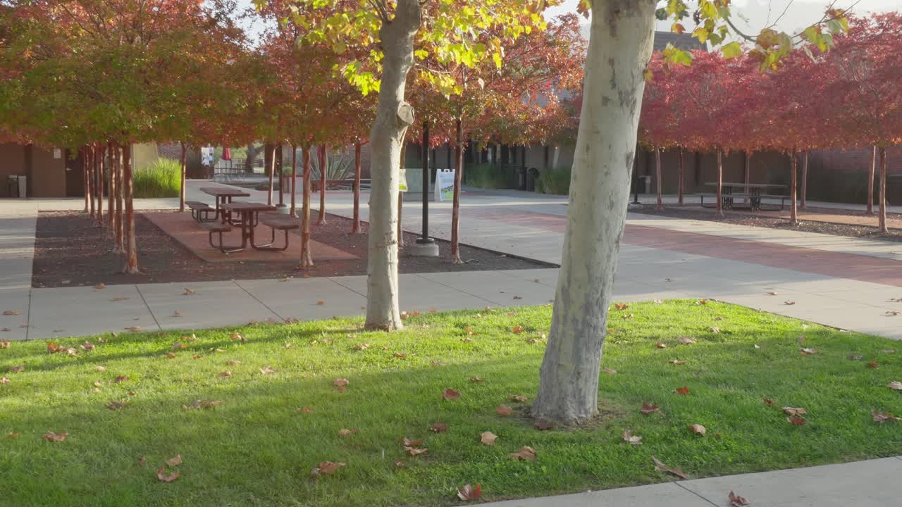 A measured zoom narrows onto the college’s signature structures, emphasizing the blend of contemporary design, terraced landscaping, and the peaceful surroundings