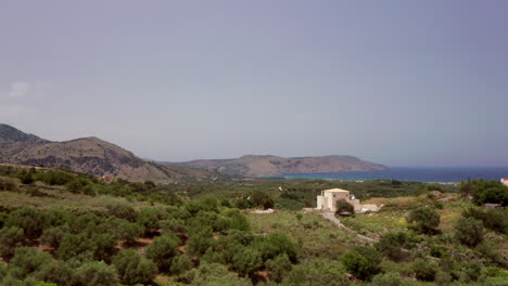 sobrevuelo aéreo bajo del patio de una villa griega de lujo - palmeras en miniatura que revelan la costa en la distancia en creta, grecia