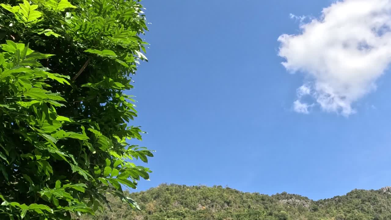 el lapso de tiempo de una nube que se mueve a través de un cielo despejado.
