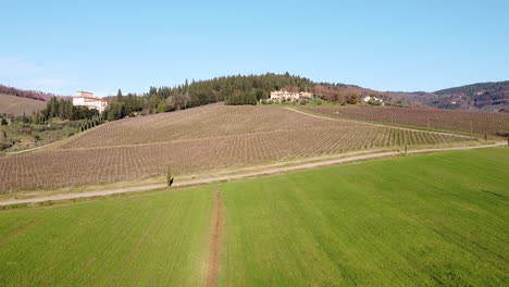 ascending bird's eye view over bread and cereals green field in the tuscany hills during sunny day, dolly movement