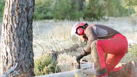 Woman-cutting-down-a-tree-with-a-chainsaw-in-the-Spanish-forest-at-day-time-wearing-red-equipment