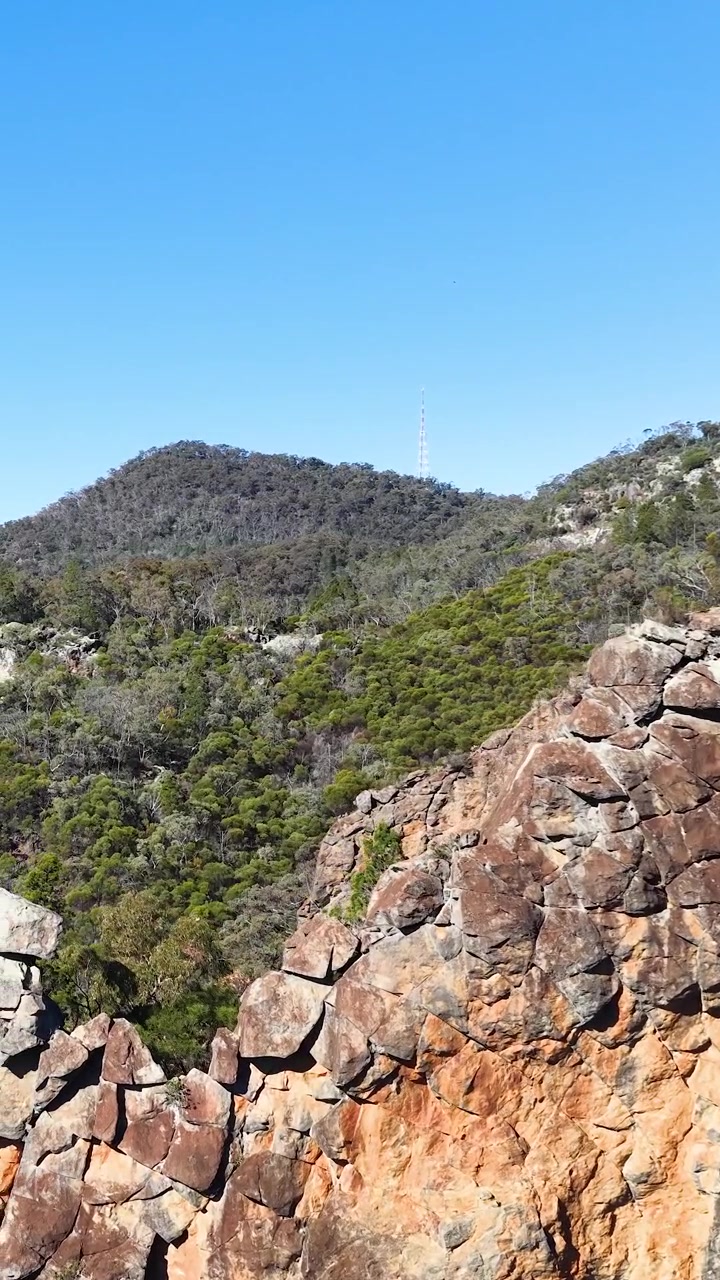 Un'aquila cuneata sorvola la formazione rocciosa The Breadknife nel Parco Nazionale Warrumbungle, Australia