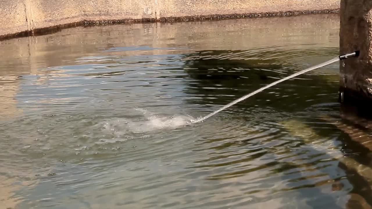 물을 오염시키는 호수로 흐르는 물 스톡 비디오 스톡 푸티지