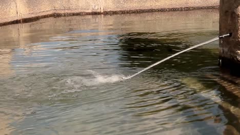 agua corriendo hacia un lago contaminando el agua almacen de metraje de video
