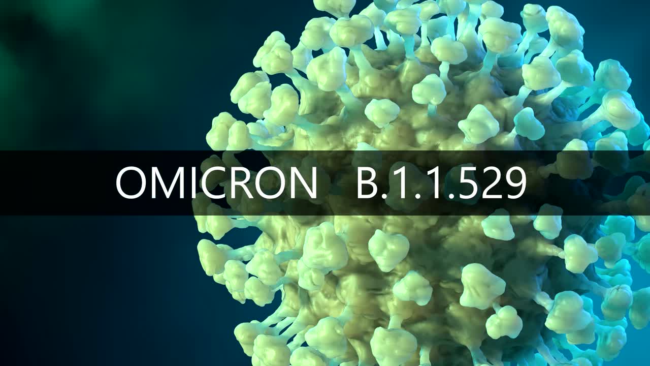 sars-cov-2 코로나바이러스 변종 오미크론 b.1.1.529