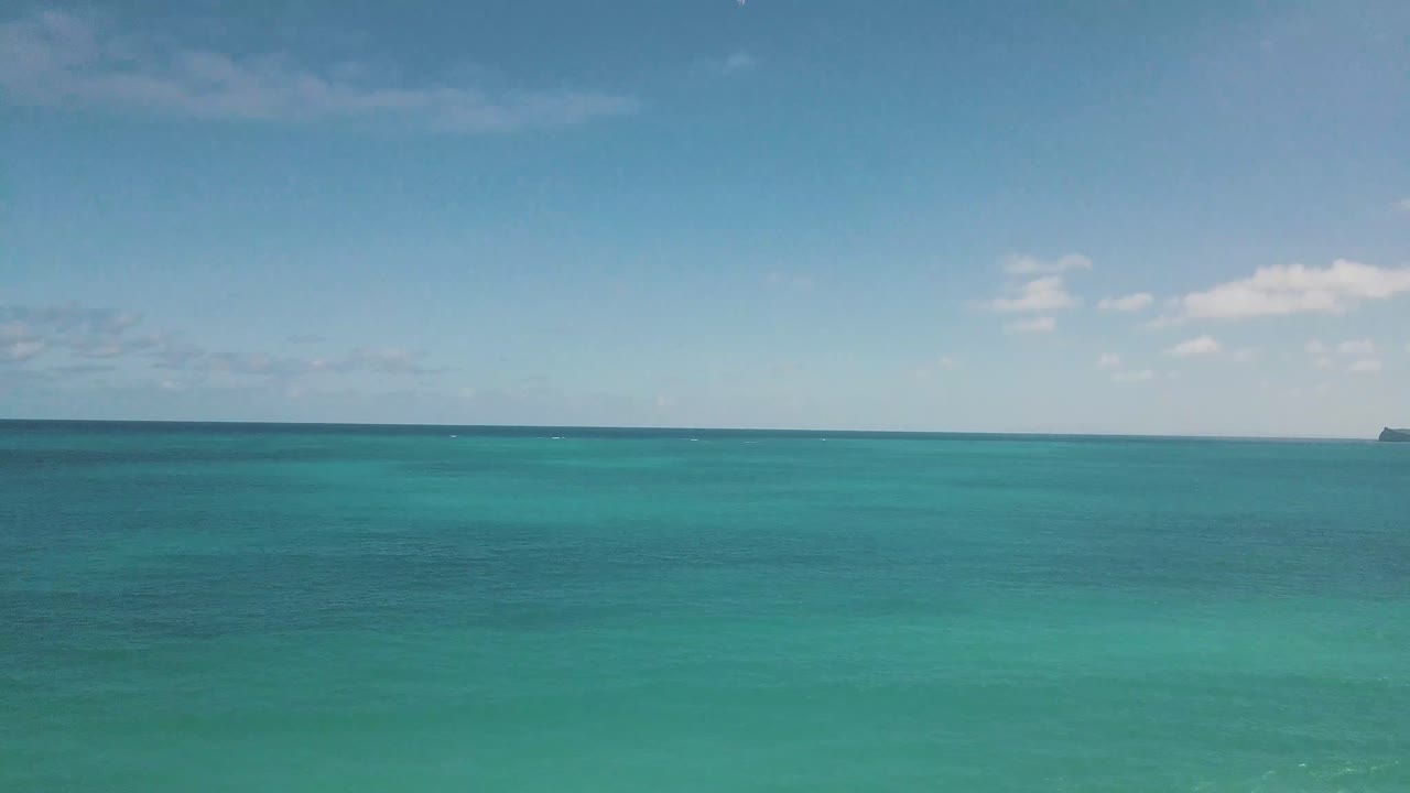 호놀룰루의 하와이 해변